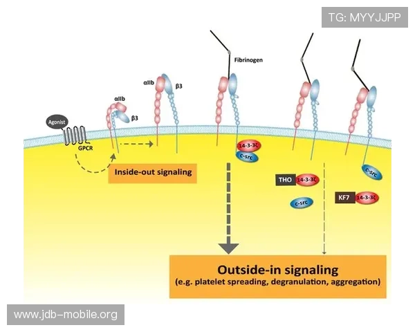 大数据揭示尤文图斯近期真实命中率波动背后蕴含的深层关键信号